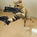 ���� ���������, �����-���������, 40 ��� - ��������� 25 ������ 2019 � ������ ������ ��������