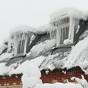 ���� ������, �������, 53 ���� - ��������� 10 ������� 2019 � ������ ������ ��������