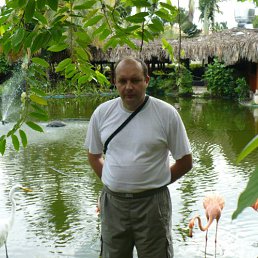 ���������, ������, 53 ����