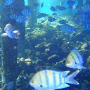 ���� �������, ���������, 47 ��� - ��������� 8 ����� 2019 � ������ �Egypt�