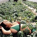  @@, , 51  -  10  2018    