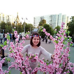 , 40, 