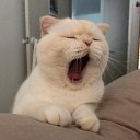 ���� �������, ������, 69 ��� - ��������� 6 ������� 2019 � ������ ���� ����������