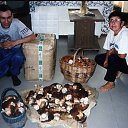 ���� �������, ���������, 44 ���� - ��������� 14 ������� 2018