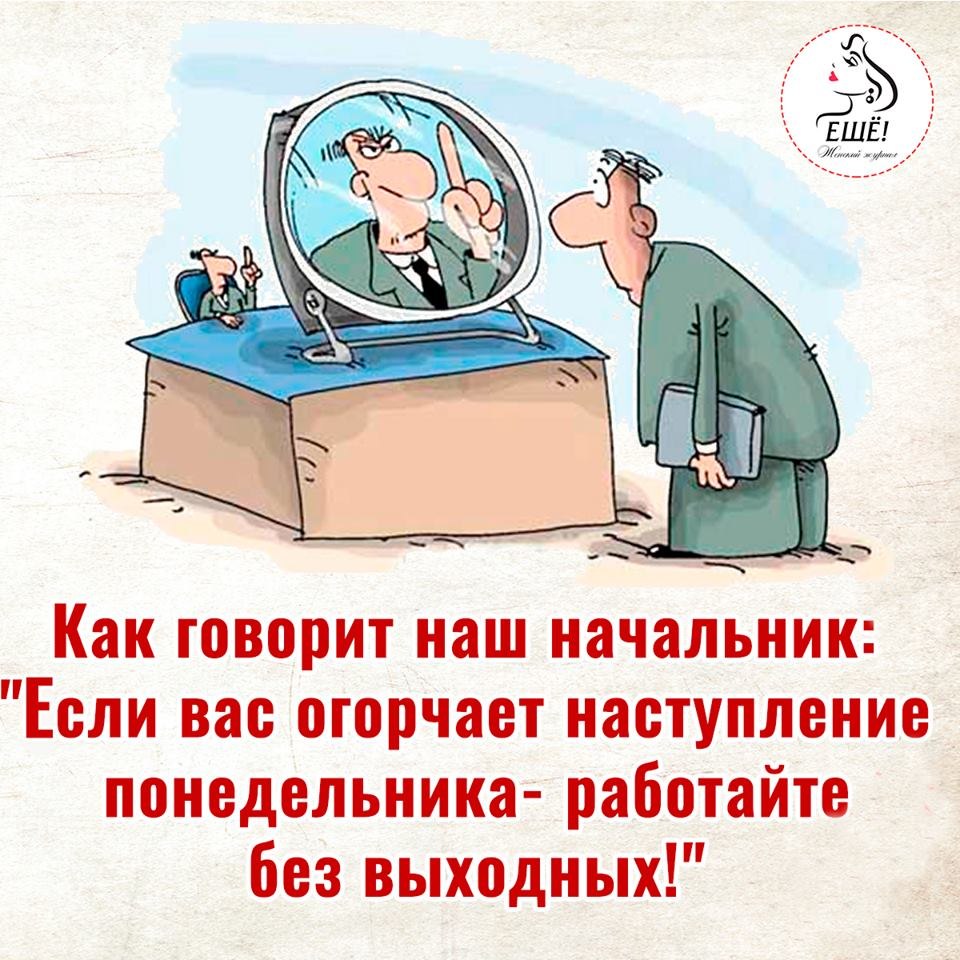 Он твой начальник