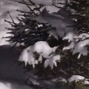 ���� �����, ��� - ��������� 8 ������� 2019 � ������ ����� 2019�
