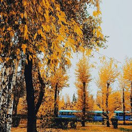 ���� Ruslan, ������������, 49 ��� - ��������� 12 ������� 2018