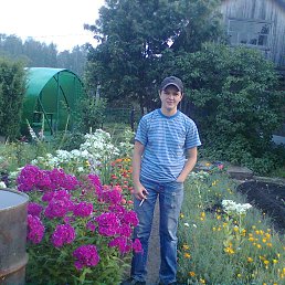 ����, ������, 38 ���