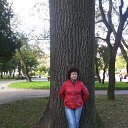 ���� ����, �����, 66 ��� - ��������� 8 ������� 2018 � ������ ���� ����������