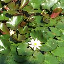 ���� Martin, �����������, 62 ���� - ��������� 5 ������� 2019 � ������ ������ ��������