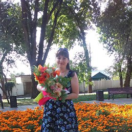 �����, 41 ���, ������