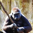 ���� ������, �����������, 52 ���� - ��������� 28 ������ 2018 � ������ ���� ����������