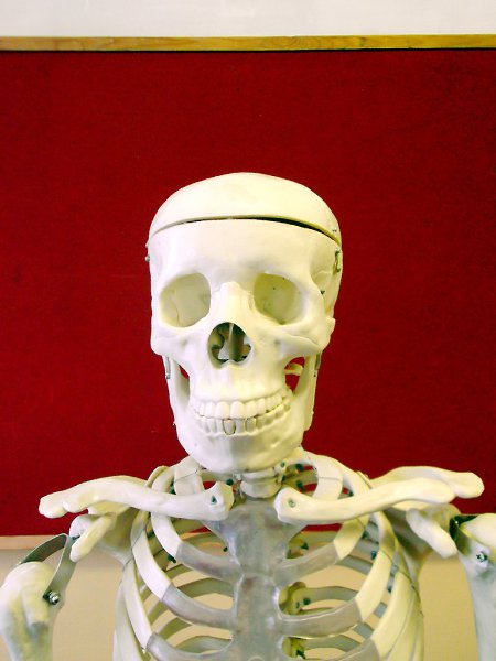 Знакомьтесь, Иван Иваныч. Бывший лаборант по дисциплине "Скульптура и пластическая ... - 2