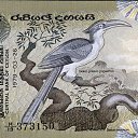 ���� ����, ��������� - ��������� 18 �������� 2018