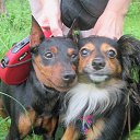 ���� ������, �����-��������� - ��������� 30 ���� 2018