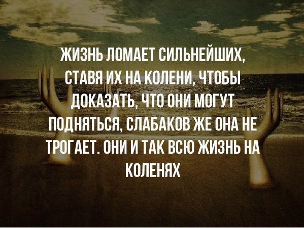 ������� ������ ������� ����� - 31 ������� 2018 � 17:05