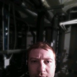 �������, ������, 38 ���