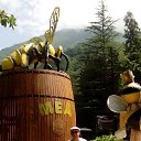 ���� �������, ������, 49 ��� - ��������� 22 ������� 2018 � ������ ���� ����������