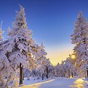  Saturn,  -  16  2019    