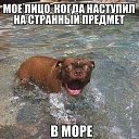 ���� ���������, ����������, 38 ��� - ��������� 23 ������ 2019 � ������ ���� ����������