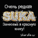���� ³����, ��������� - ��������� 14 ����� 2019 � ������ ���� ����������