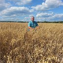 ���� Ilya, ������ �������� - ��������� 19 ������� 2018 � ������ ���� ����������