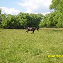 ���� ������, �������, 28 ��� - ��������� 9 ������� 2018 � ������ ������ ��������
