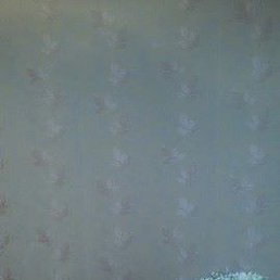 ���������, ������, 74 ����