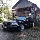 ���� ���������, ������, 32 ���� - ��������� 3 ������� 2019 � ������ ���� ����������