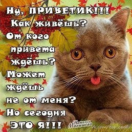 ������ ���......, ���������, 48 ���