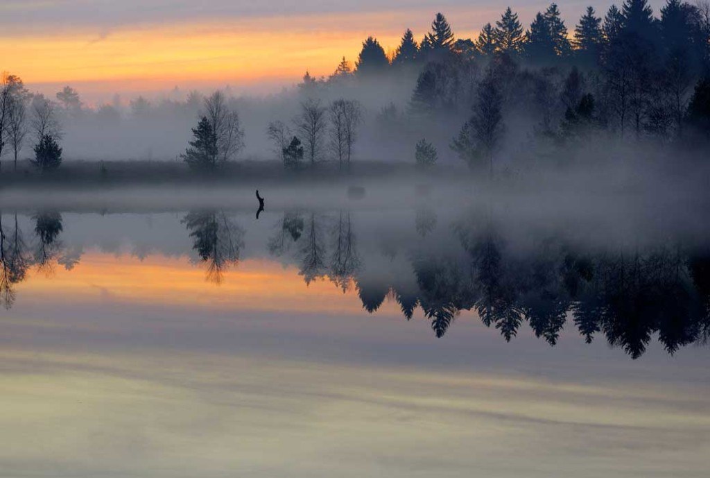 Краски жизни! - 4 сентября 2018 в 20:39