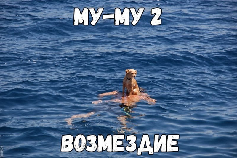   - 4  2018  11:09