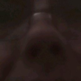 ���� �������, ���������, 52 ���� - ��������� 25 ������ 2019