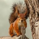 ���� �����, ���������, 59 ��� - ��������� 18 ������ 2018 � ������ ���� ����������