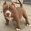 ���� �����, ������������, 30 ��� - ��������� 30 ������ 2018