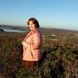 ����, �����������, 48 ���