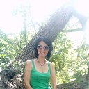  ,  , 50  -  13  2018    