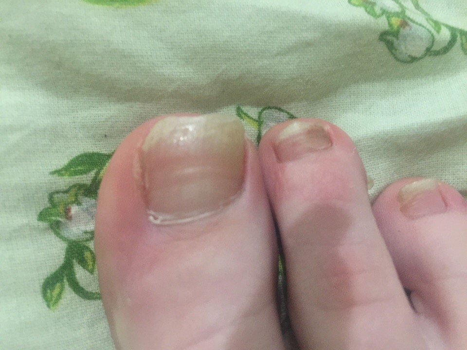#@modnailru. , !          , ... - 4