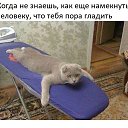 ���� �����, �������, 40 ��� - ��������� 9 ������� 2018 � ������ ������ ��������