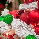 ���� ������, �������� - ��������� 16 ������� 2018 � ������ ���� ����������