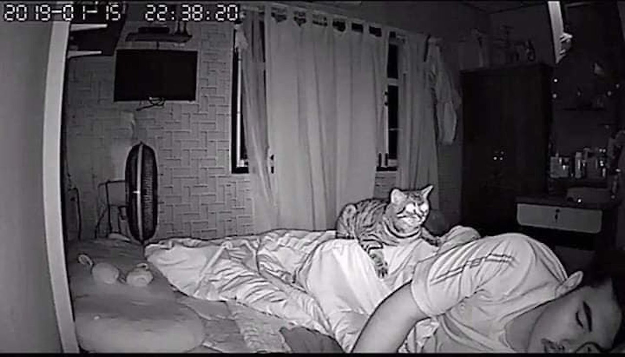 Скрытый камера спальне муж жена