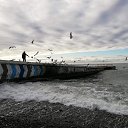 ���� ����, �������� - ��������� 8 ������� 2018 � ������ ������ ��������