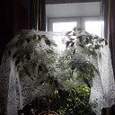 ���� ���������, ����������, 65 ��� - ��������� 7 ������� 2018 � ������ ��� �������.�