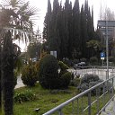 ���� �������, ��������� - ��������� 11 ����� 2019 � ������ ���� ����������