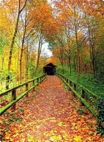 ������� | ���� 2016 | ������ | �������� | ������ - 17 ������� 2018 � 17:00