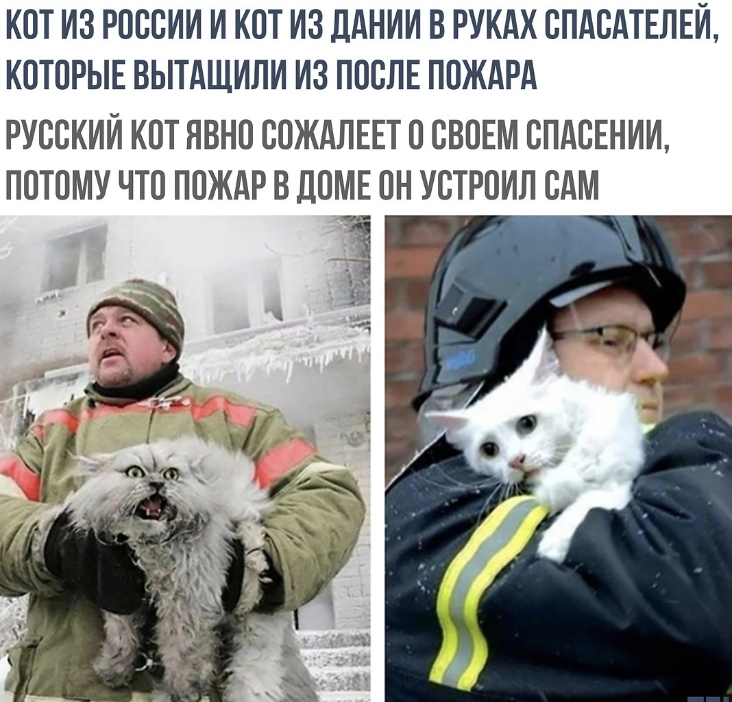    - 27  2018  16:33