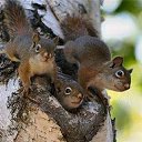 ���� ������, ������������ - ��������� 27 ����� 2019 � ������ ��������