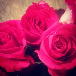 Daria, ������ ��������, 40 ���