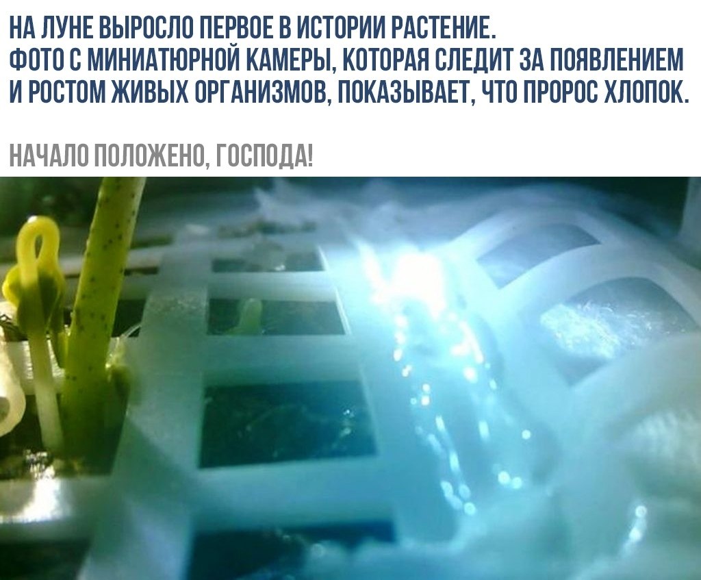    - 16  2019  16:33
