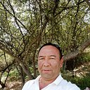 ���� �����, �������, 51 ��� - ��������� 23 ���� 2018